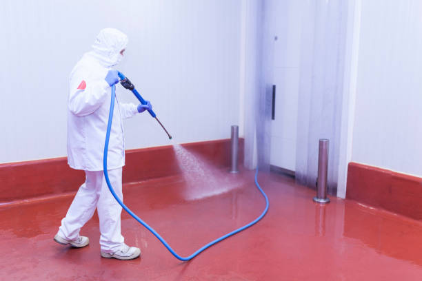 Best Oil Spill Cleanup  in Newport East, RI